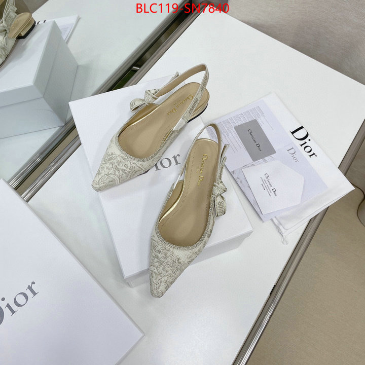 Women Shoes-Dior,replica designer , ID: SN7840,$: 119USD