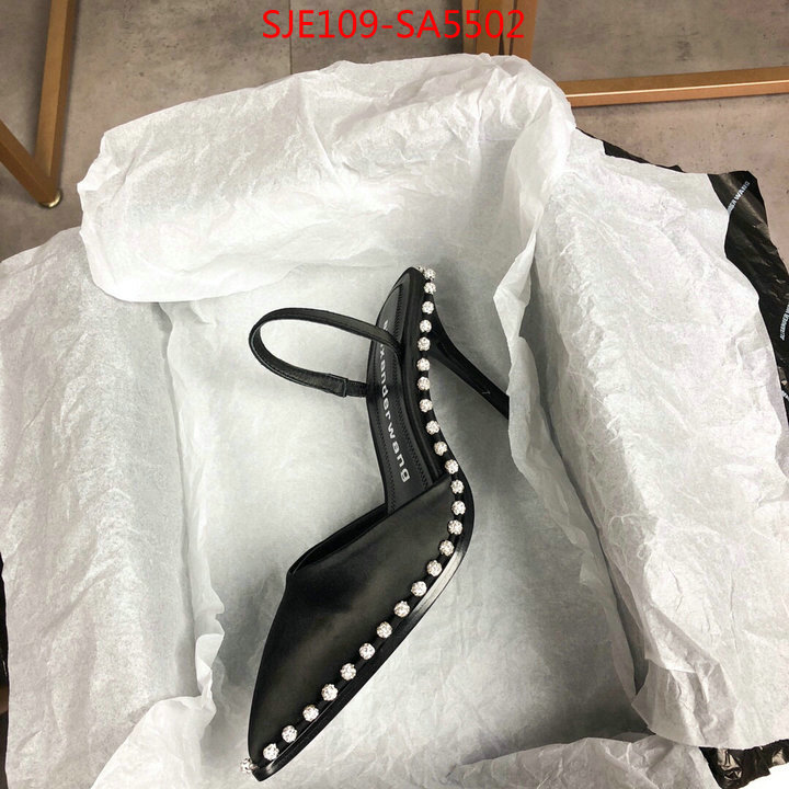 Women Shoes-Alexander Wang,wholesale china , ID: SA5502,$: 109USD
