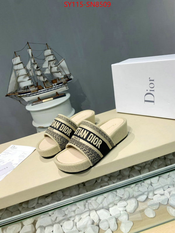 Women Shoes-Dior,sell online , ID: SN8509,$: 115USD