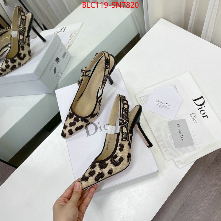 Women Shoes-Dior,1:1 replica , ID: SN7820,$: 119USD