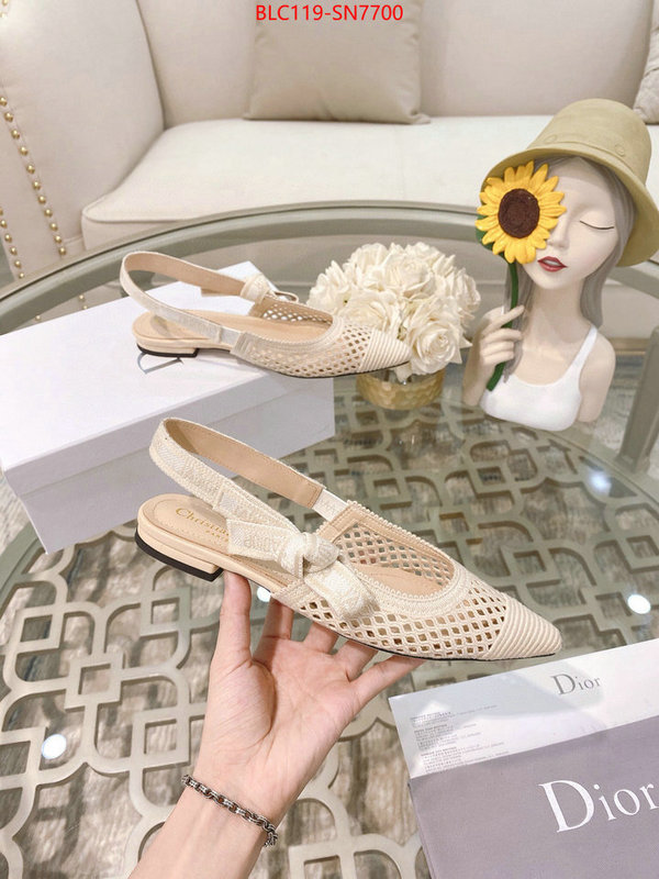 Women Shoes-Dior,sell online luxury designer , ID: SN7700,$: 119USD