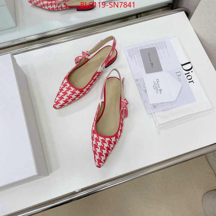 Women Shoes-Dior,outlet 1:1 replica , ID: SN7841,$: 119USD