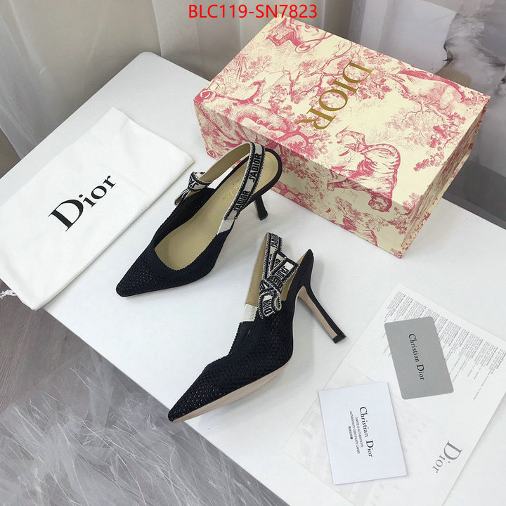 Women Shoes-Dior,how to find replica shop , ID: SN7823,$: 119USD