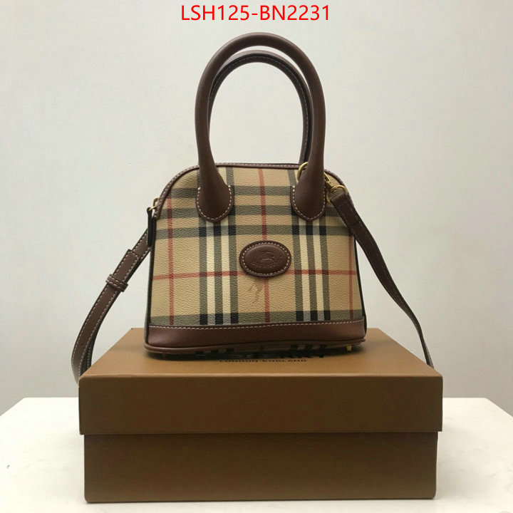 Burberry Bags(TOP)-Diagonal-,top designer replica ,ID: BN2231,$: 125USD