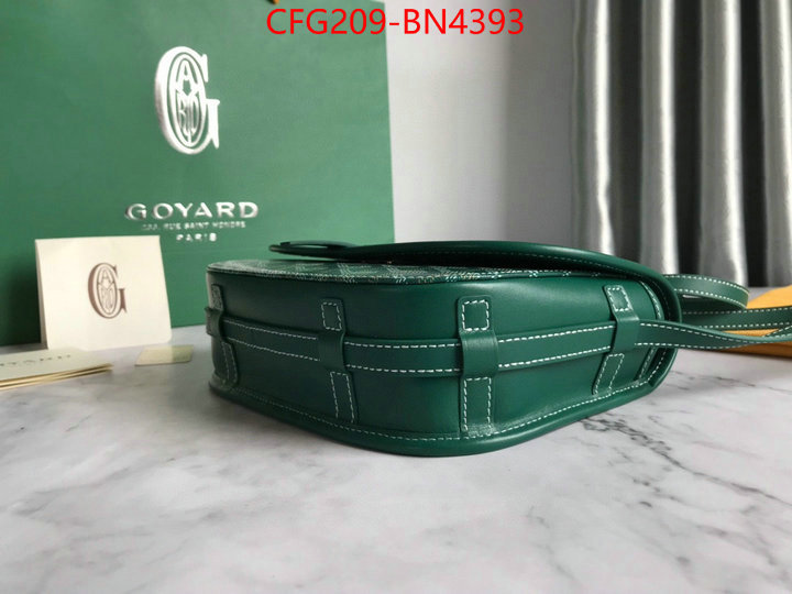 Goyard Bags(TOP)-Diagonal-,ID: BN4393,$: 209USD