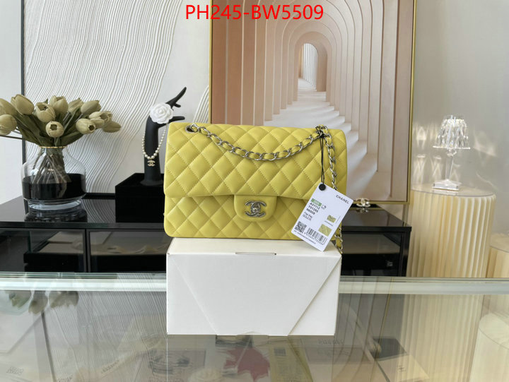 Chanel Bags(TOP)-Diagonal-,ID: BW5509,$: 245USD