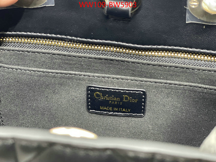 Dior Bags(4A)-Other Style-,ID: BW5903,$: 109USD