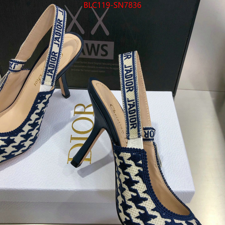 Women Shoes-Dior,what's the best to buy replica , ID: SN7836,$: 119USD