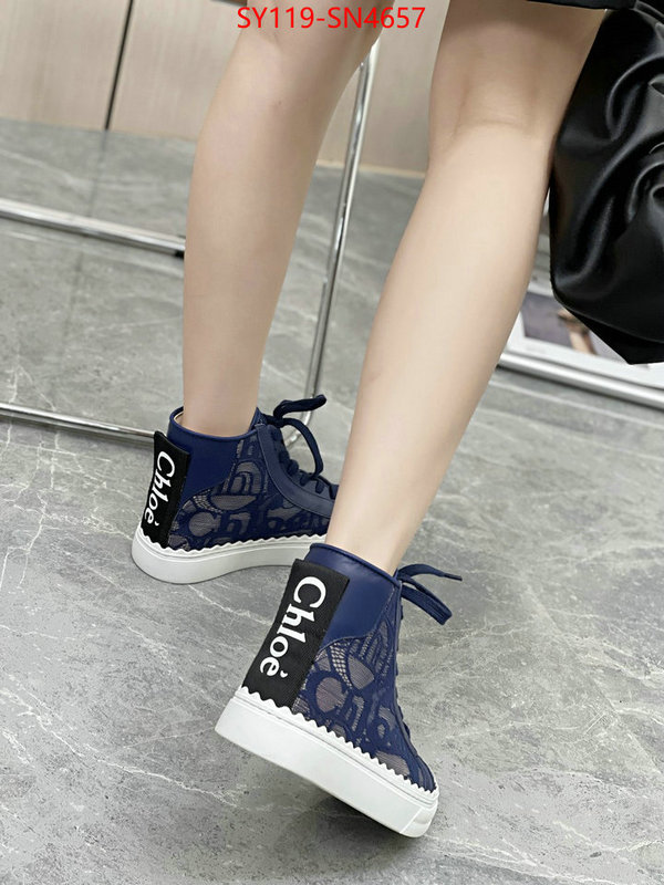 Women Shoes-Chloe,designer fake , ID: SN4657,$: 119USD