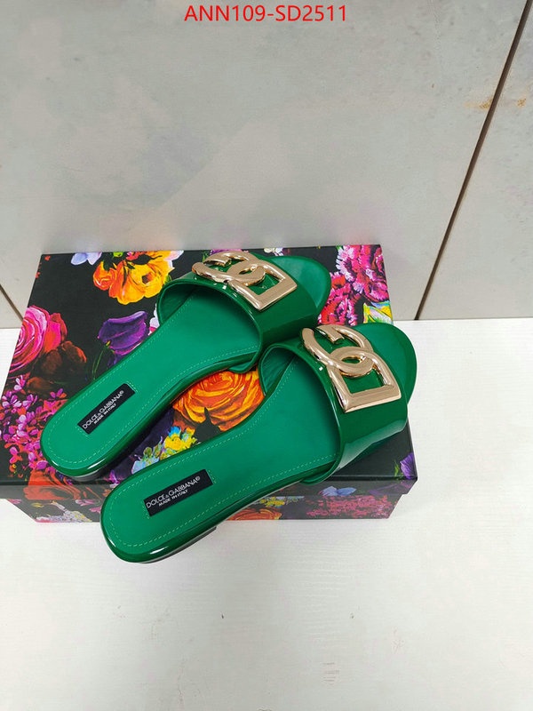 Women Shoes-DG,1:1 replica wholesale , ID: SD2511,$: 109USD