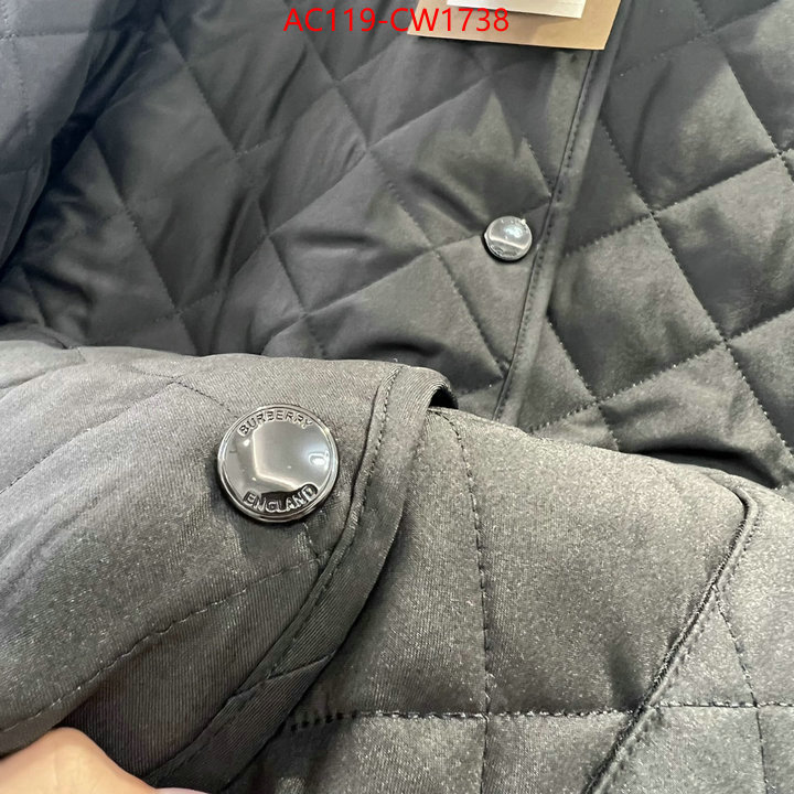 Down jacket Women-Burberry,practical and versatile replica designer , ID: CW1738,$: 119USD