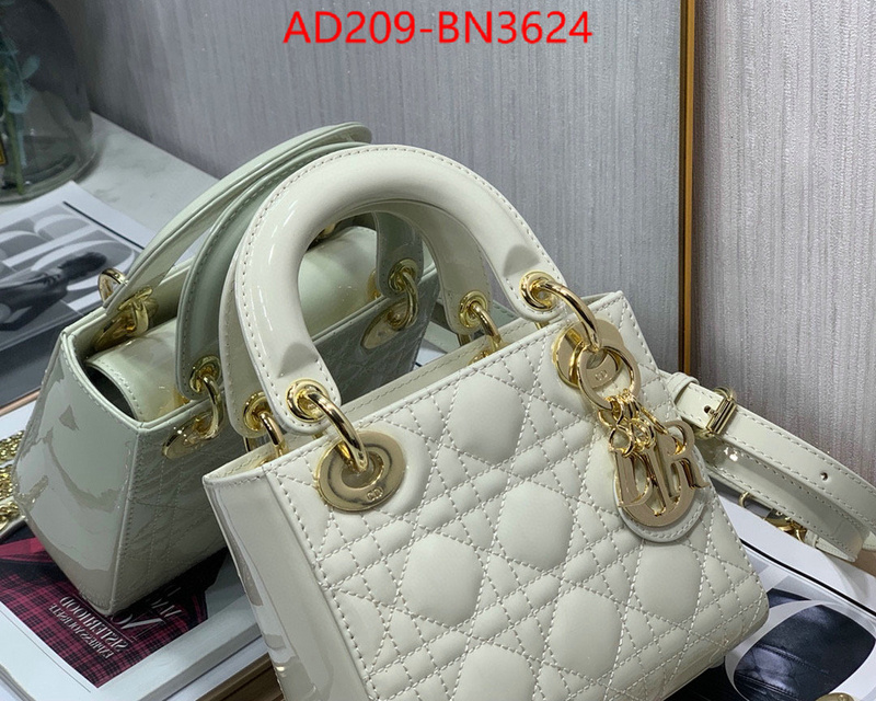 Dior Bags(TOP)-Lady-,ID: BN3624,$: 209USD