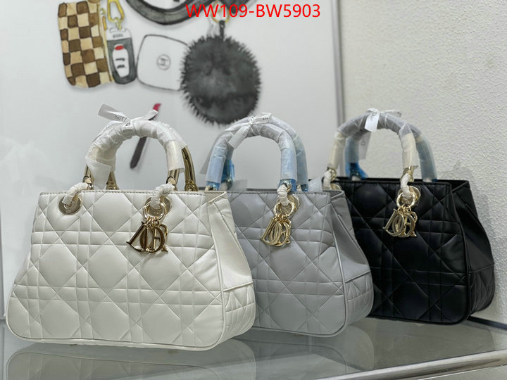 Dior Bags(4A)-Other Style-,ID: BW5903,$: 109USD