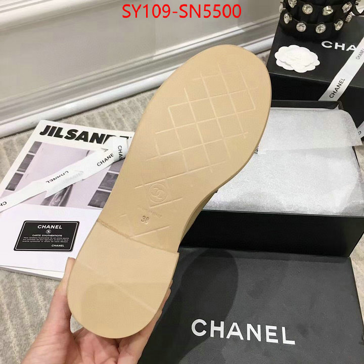 Women Shoes-Chanel,online sales , ID: SN5500,$: 109USD