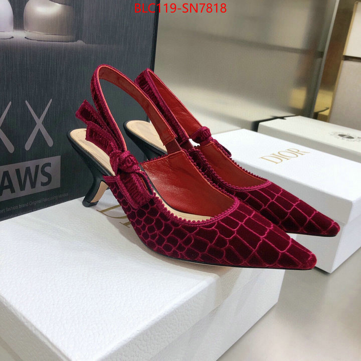 Women Shoes-Dior,aaaaa+ quality replica , ID: SN7818,$: 119USD