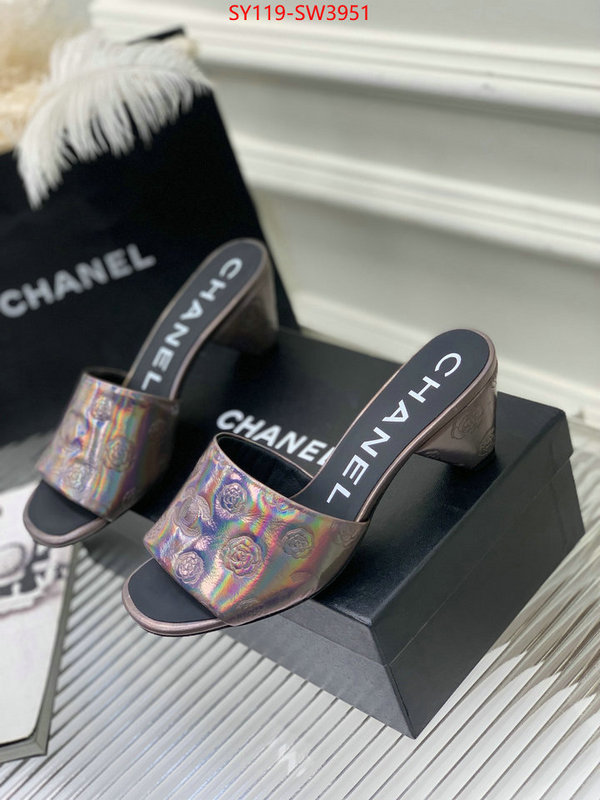 Women Shoes-Chanel,best site for replica , ID: SW3951,$: 119USD