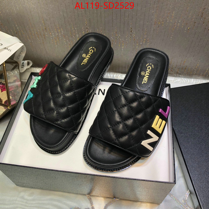 Women Shoes-Chanel,replicas , ID: SD2529,$: 119USD