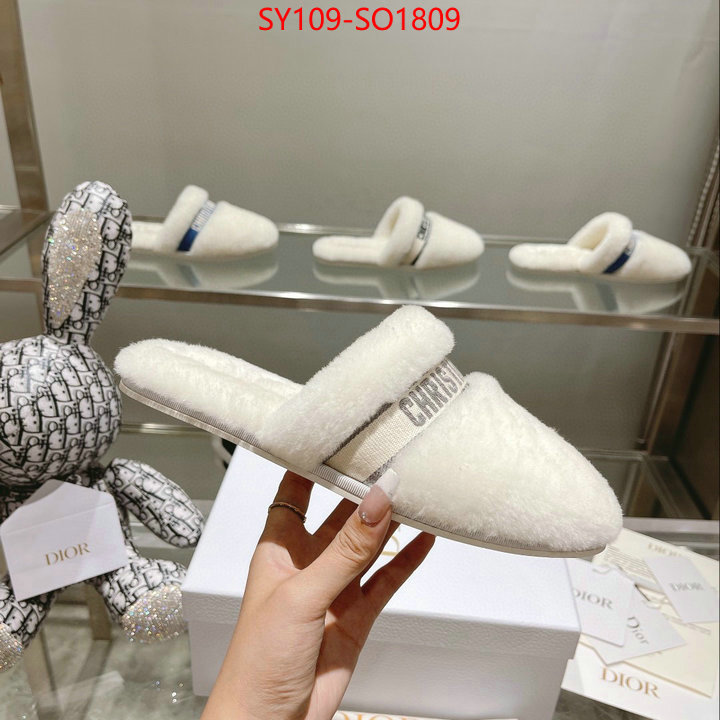 Women Shoes-Dior,how can i find replica , ID: SO1809,$: 109USD