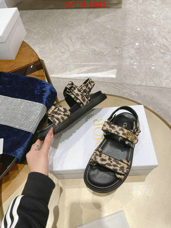 Women Shoes-Dior,is it ok to buy replica , ID: SR43,$: 119USD