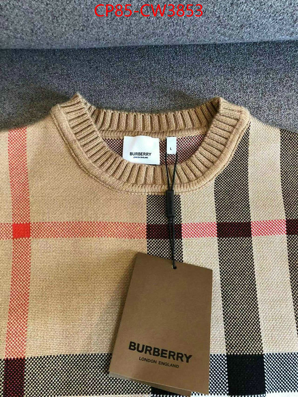 Clothing-Burberry,wholesale replica , ID: CW3853,$: 85USD