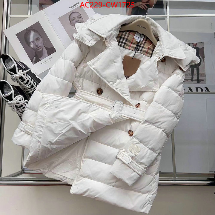 Down jacket Women-Burberry,how to start selling replica , ID: CW1725,$: 229USD