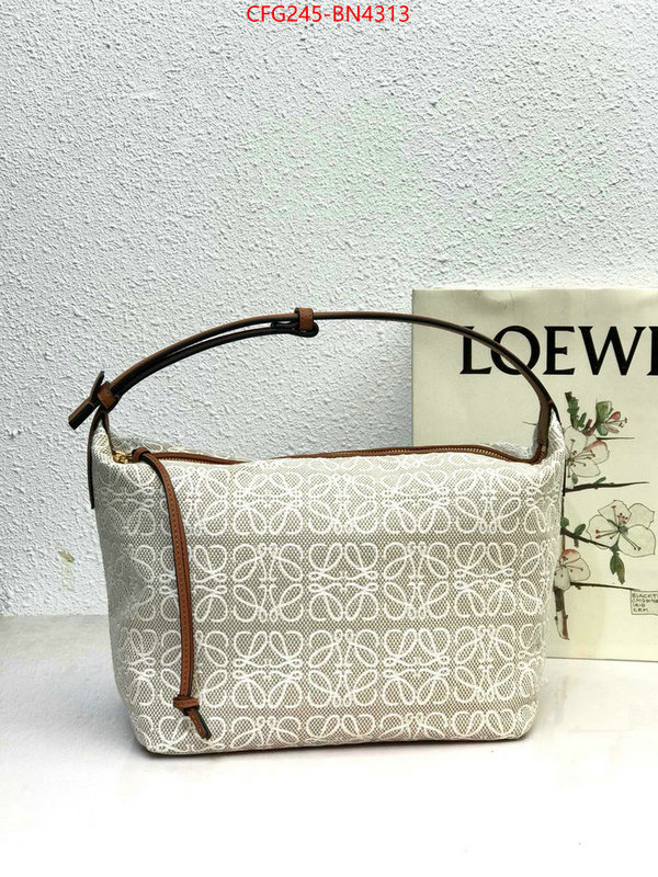 Loewe Bags(TOP)-Cubi,where can i buy ,ID: BN4313,$: 245USD