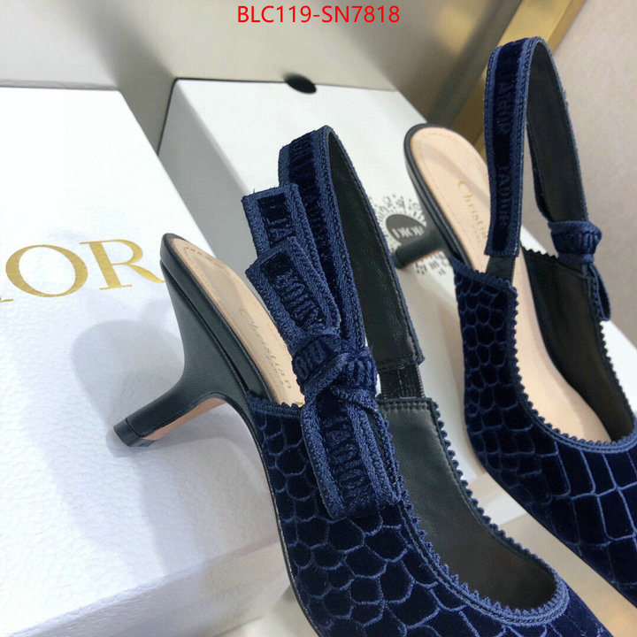 Women Shoes-Dior,aaaaa+ quality replica , ID: SN7818,$: 119USD