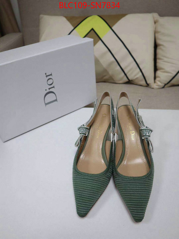 Women Shoes-Dior,the highest quality fake , ID: SN7834,$: 109USD