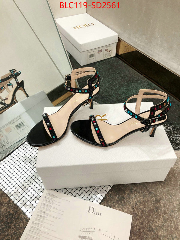 Women Shoes-Dior,sell online luxury designer , ID: SD2561,$: 119USD