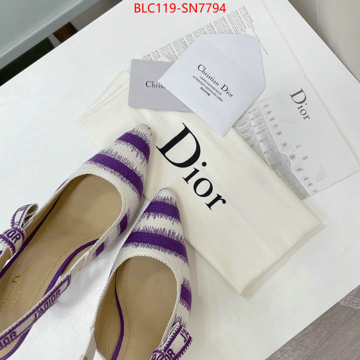 Women Shoes-Dior,online store , ID: SN7794,$: 119USD