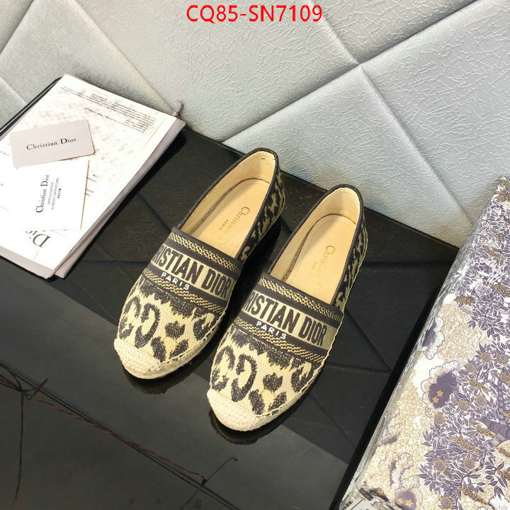 Women Shoes-Dior,online from china , ID: SN7109,$: 85USD