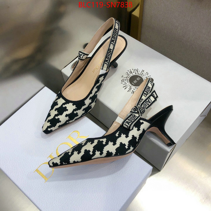 Women Shoes-Dior,can i buy replica , ID: SN7838,$: 119USD