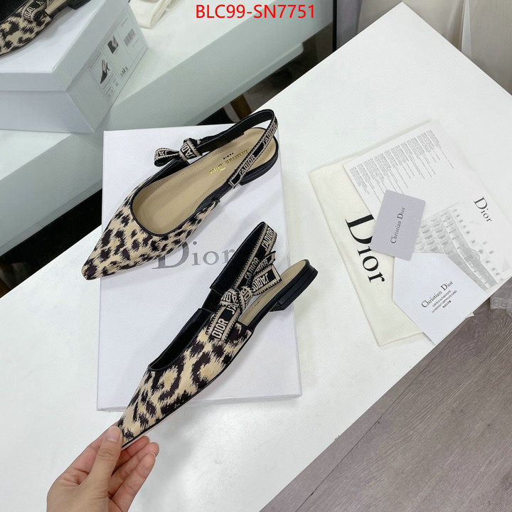 Women Shoes-Dior,the best quality replica , ID: SN7751,$: 99USD