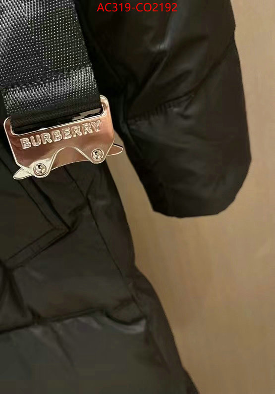 Down jacket Women-Burberry,top grade , ID: CO2192,$: 319USD