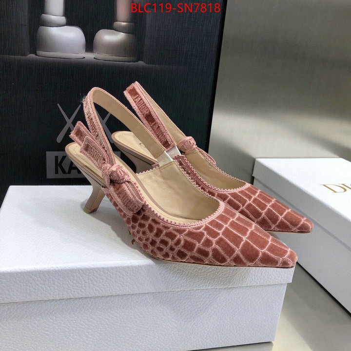 Women Shoes-Dior,aaaaa+ quality replica , ID: SN7818,$: 119USD