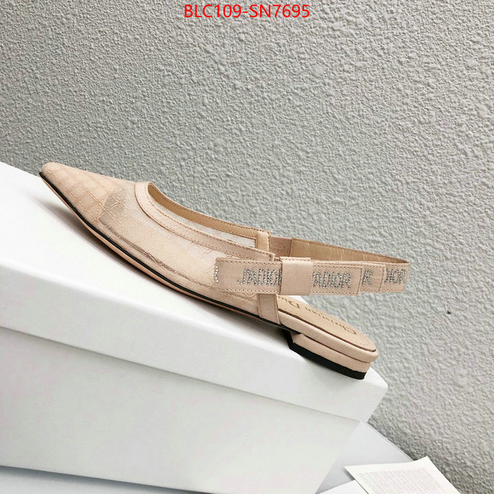 Women Shoes-Dior,hot sale , ID: SN7695,$: 109USD