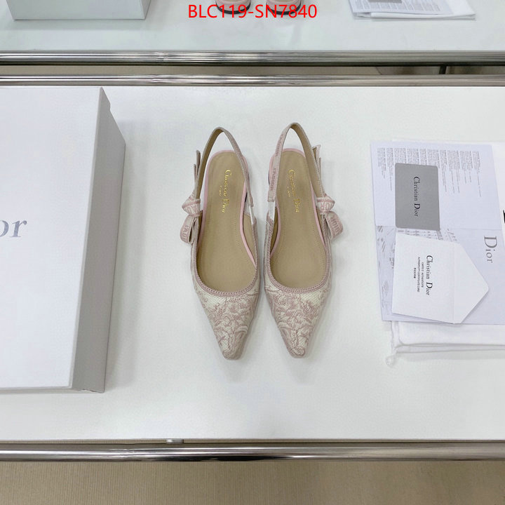 Women Shoes-Dior,replica designer , ID: SN7840,$: 119USD