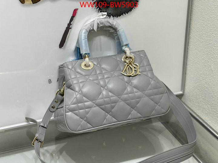 Dior Bags(4A)-Other Style-,ID: BW5903,$: 109USD