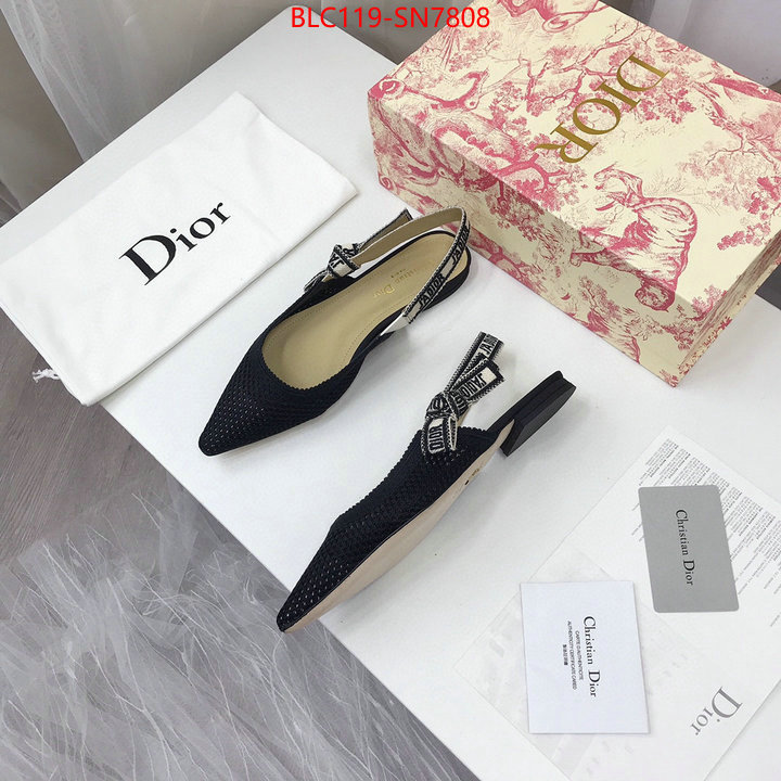 Women Shoes-Dior,shop designer replica , ID: SN7808,$: 119USD