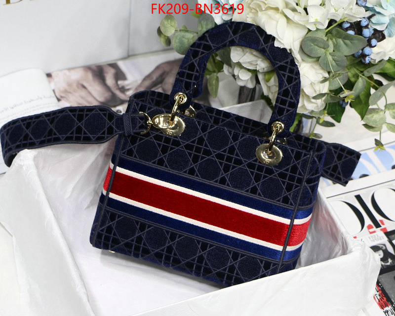 Dior Bags(TOP)-Lady-,ID: BN3619,$: 209USD