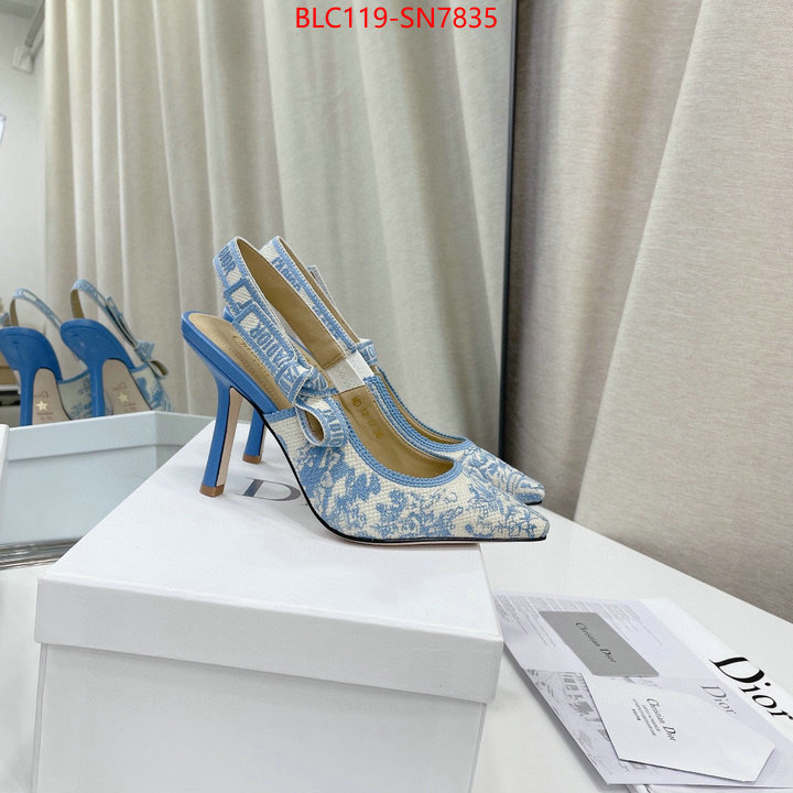 Women Shoes-Dior,styles & where to buy , ID: SN7835,$: 119USD