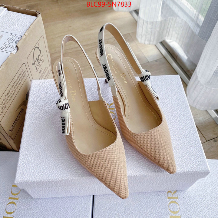 Women Shoes-Dior,replica 2023 perfect luxury , ID: SN7833,$: 99USD