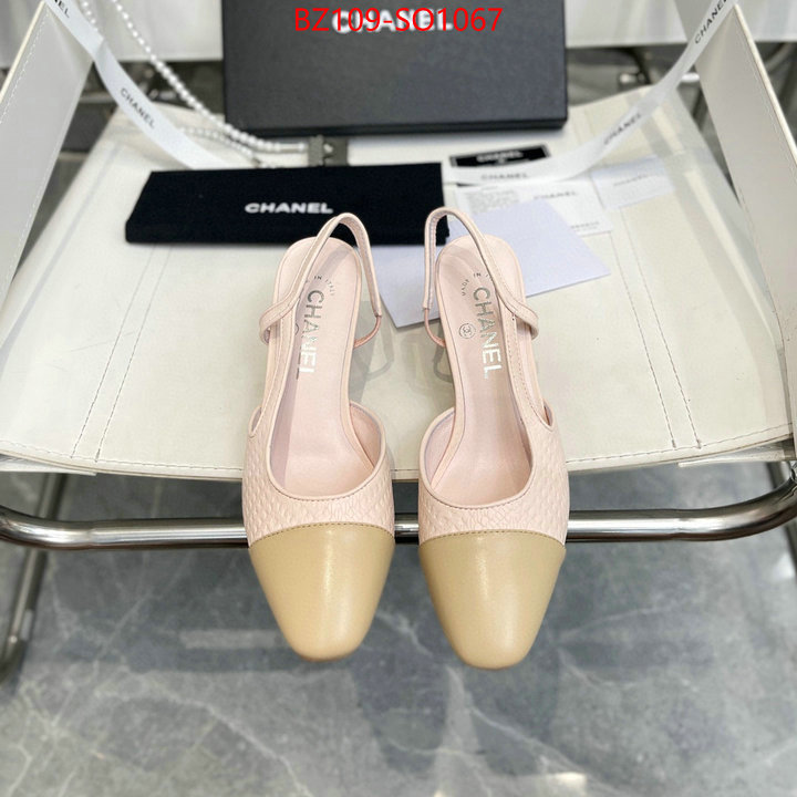 Women Shoes-Chanel,brand designer replica , ID: SO1067,$: 109USD