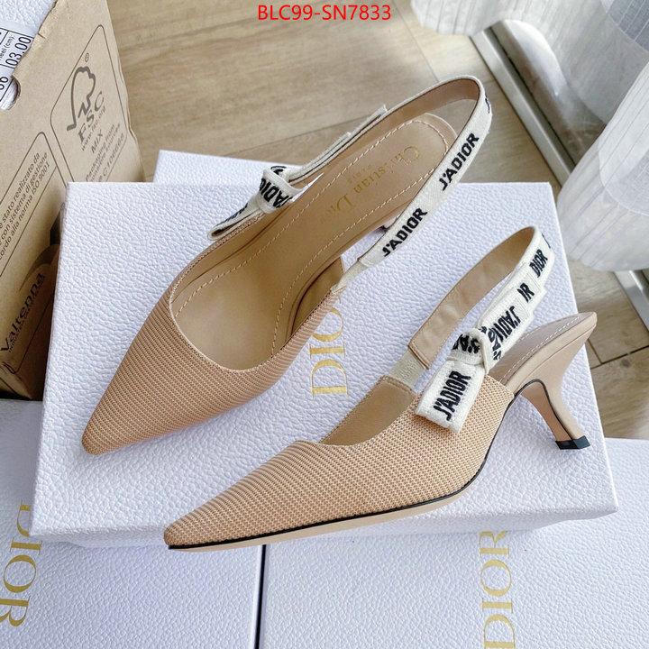 Women Shoes-Dior,replica 2023 perfect luxury , ID: SN7833,$: 99USD