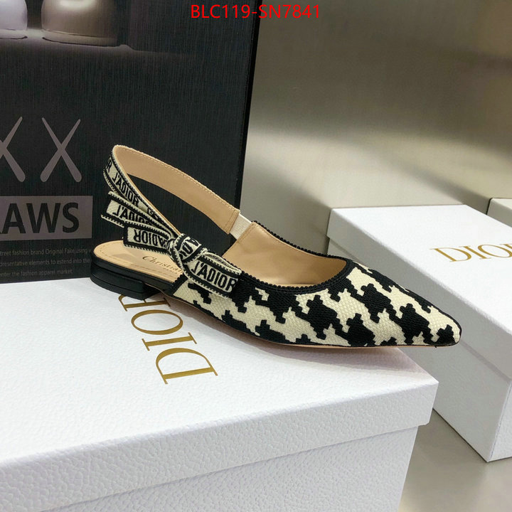 Women Shoes-Dior,outlet 1:1 replica , ID: SN7841,$: 119USD