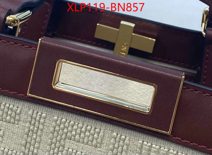 Fendi Bags(4A)-Handbag-,every designer ,ID: BN857,$: 119USD