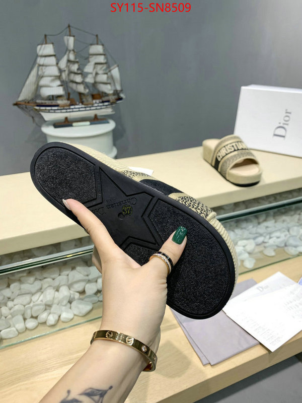 Women Shoes-Dior,sell online , ID: SN8509,$: 115USD