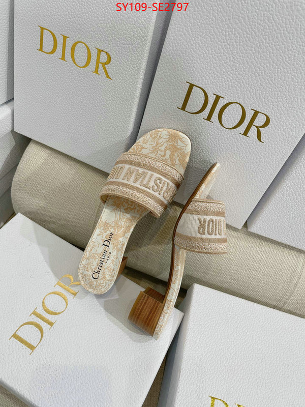 Women Shoes-Dior,shop the best high authentic quality replica , ID: SE2797,$: 109USD