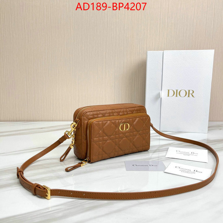 Dior Bags(TOP)-Other Style-,ID: BP4207,$: 189USD