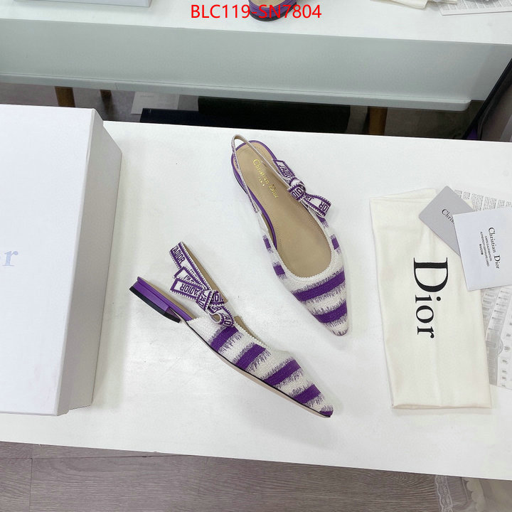 Women Shoes-Dior,wholesale designer shop , ID: SN7804,$: 119USD